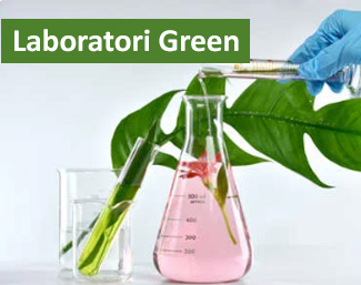 PON Edugreen e Laboratori green
